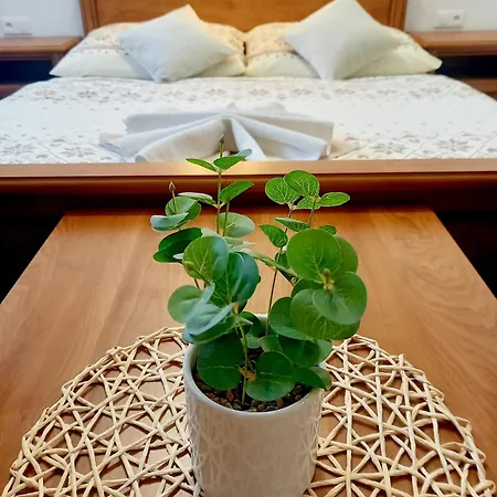 Stodolisko Гостевой дом 3*